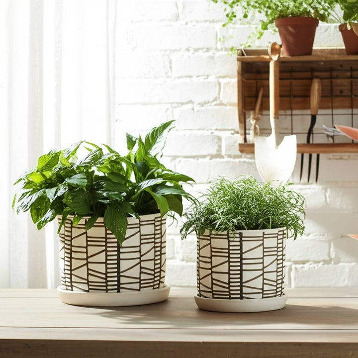 Beige 6/8 in. Round Geometric Planter with Saucer